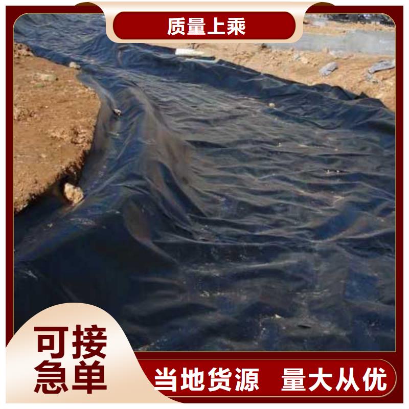 土工膜-實力廠家本地貨源