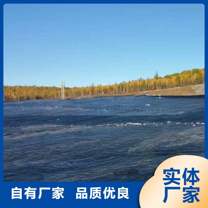 土工膜供應商可定制有口皆碑