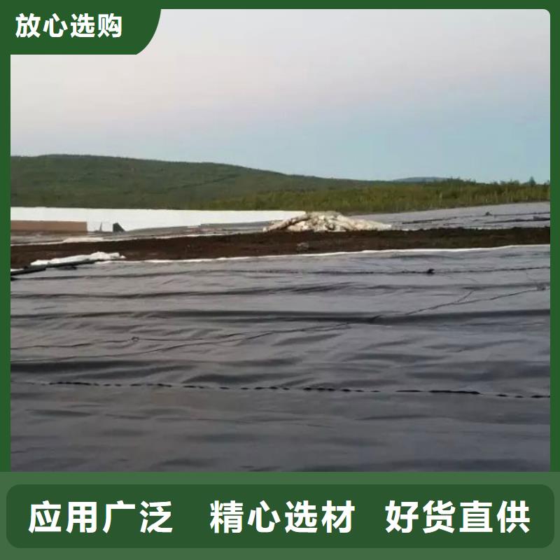 土工膜現貨批發本地貨源