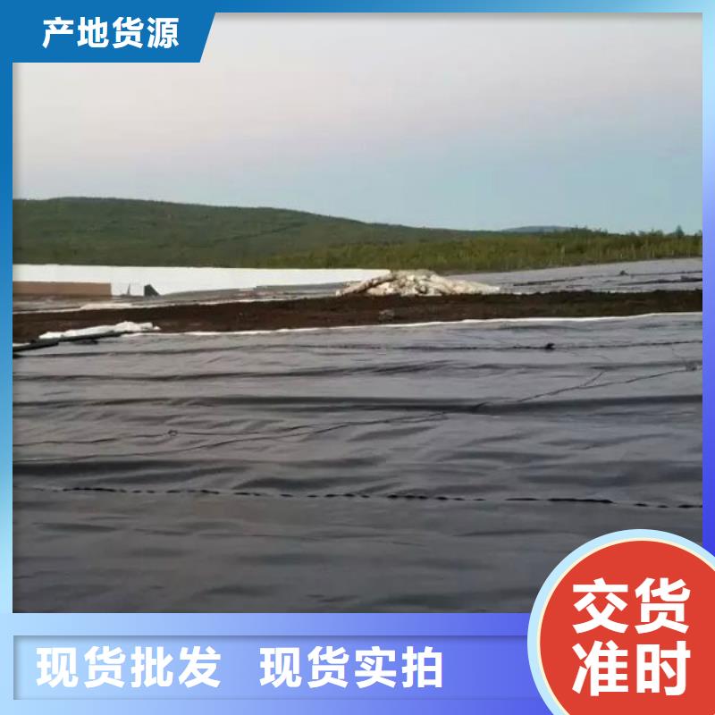 土工膜廠價批發當地生產廠家