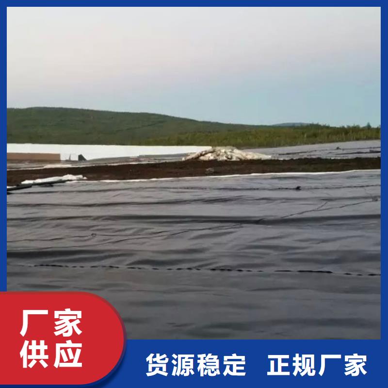 土工膜品质保证产地厂家直销