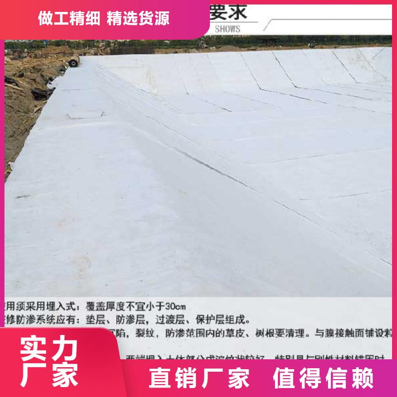 质量优的膨润土防水毯生产厂家当地供应商