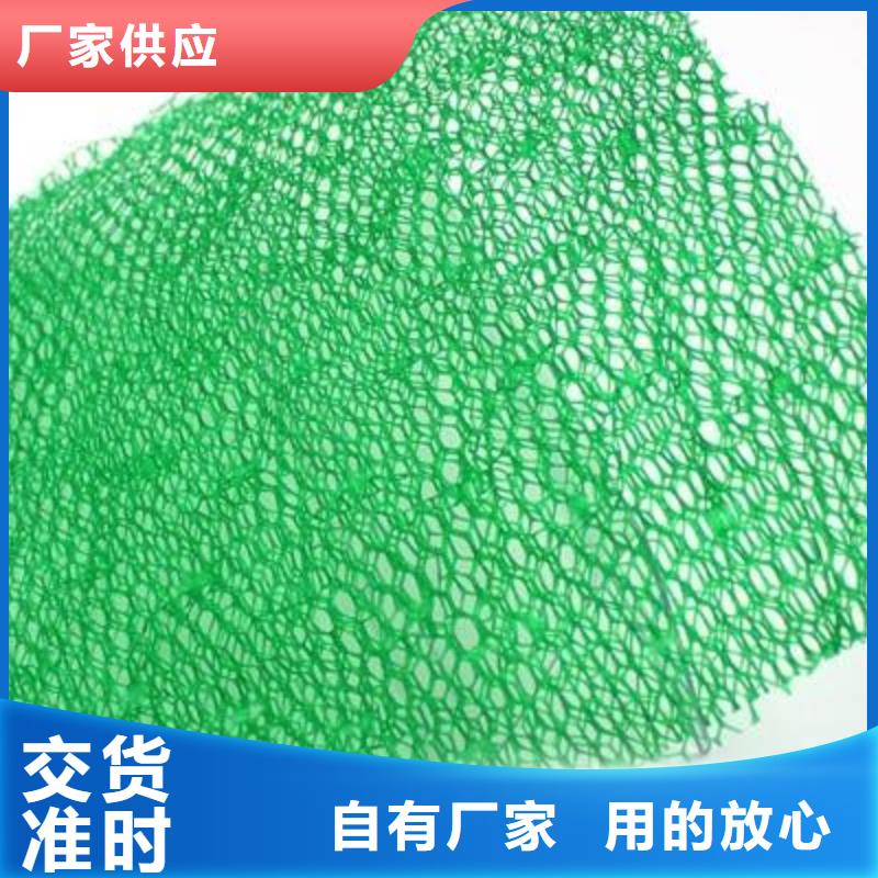 三維植被網大企業好品質本地生產廠家