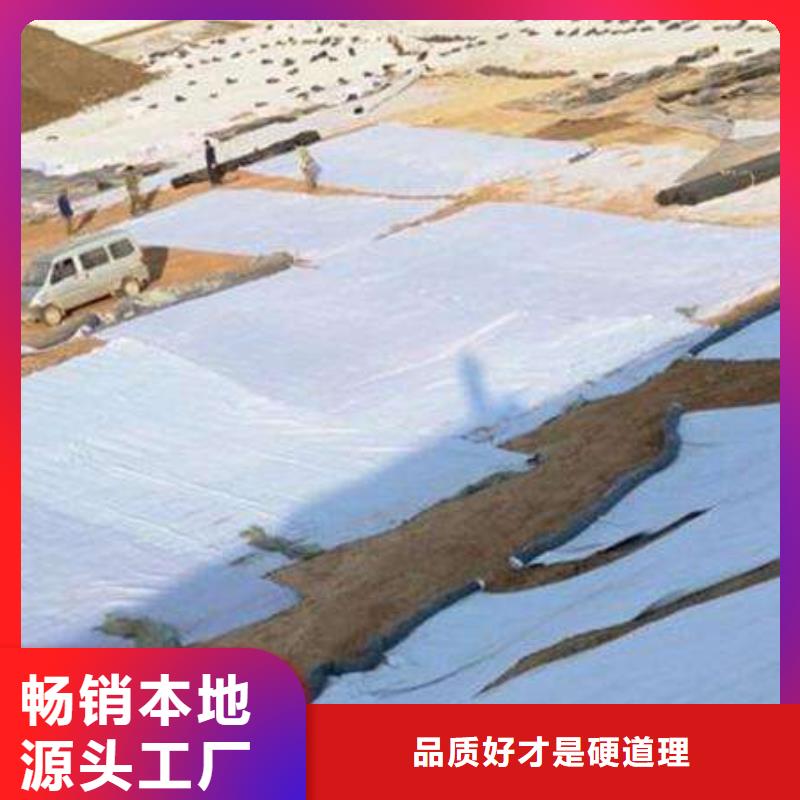 膨潤土防水毯用心服務(wù)有口皆碑