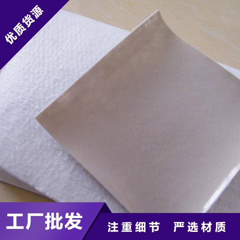 復(fù)合土工膜制作材料每一處都是匠心制作