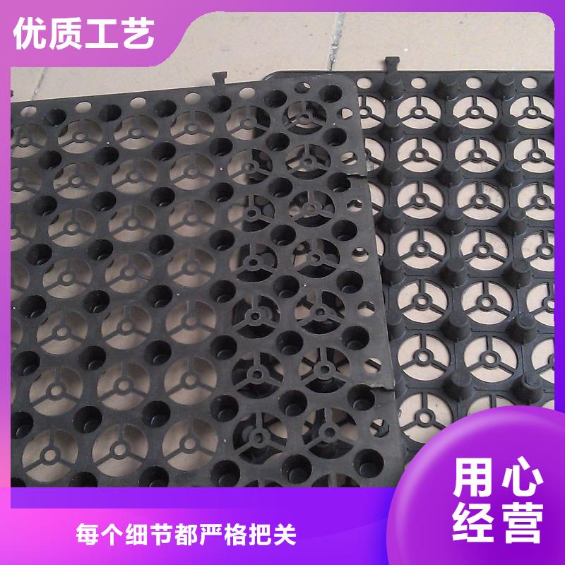 蓄水排水板_量大從優(yōu)精致工藝
