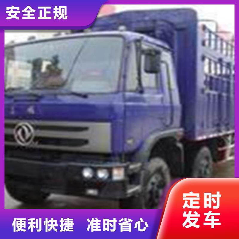 保定做运输的生产厂家