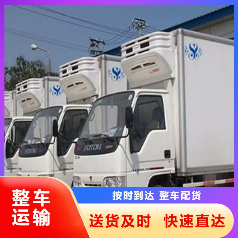 滿城定做1的批發商
