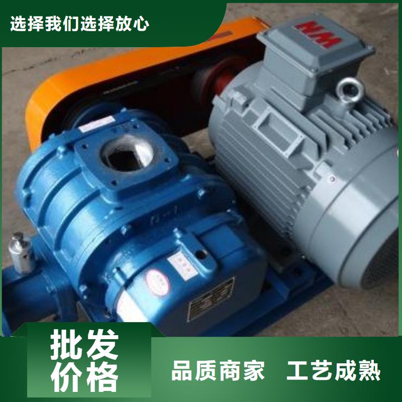 靠譜的羅茨增氧機供貨商同城制造商