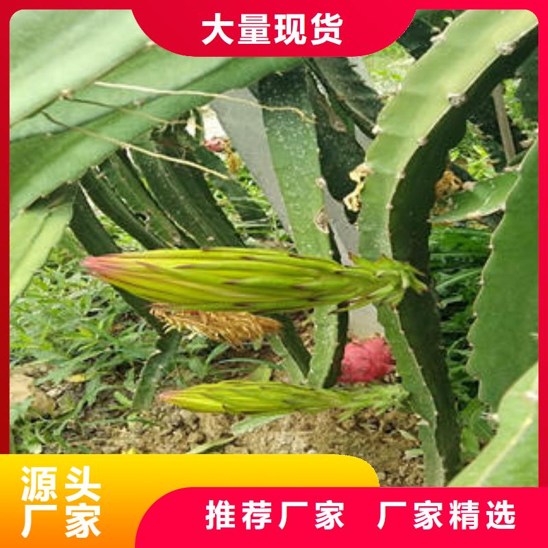 當(dāng)?shù)鼗瘕埞缟a(chǎn)廠商同城生產(chǎn)廠家
