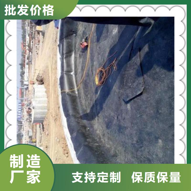 土工膜系列生產(chǎn)廠家暢銷本地