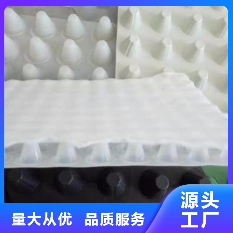 可定制的排水板系列供貨商價格低