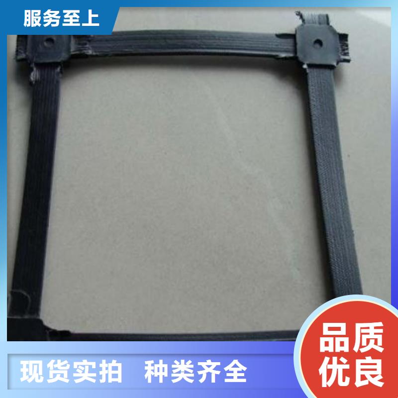 鋼塑土工格柵-加工廠(chǎng)家同城廠(chǎng)家