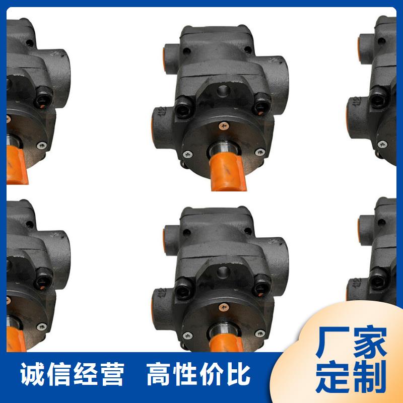 訂購柱塞泵當地生產商