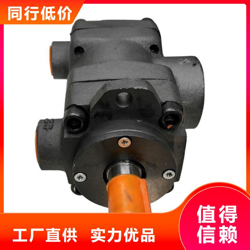 【重庆】定制PVV52-1X/193-060RA15UUMC液压泵