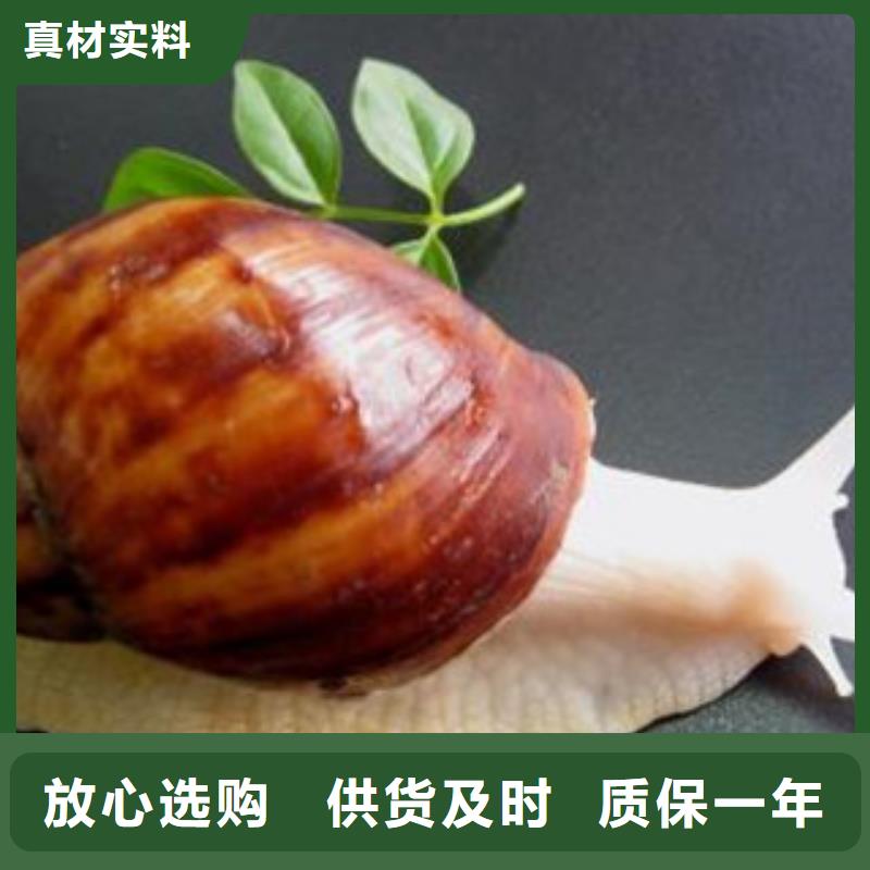 植物油1加工廠家性價比高
