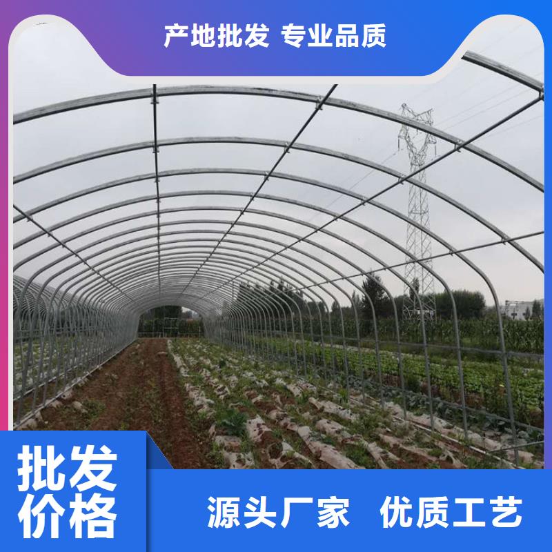 ?大棚管實地廠家一手貨源