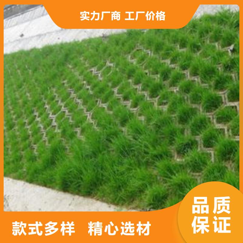 河道生态护坡生产销售海量现货
