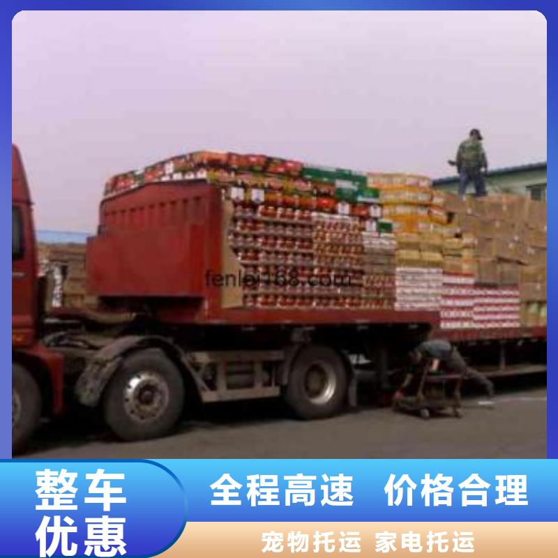 【丽江】销售到重庆回头货车整车运输公司仓配一体,时效速达!