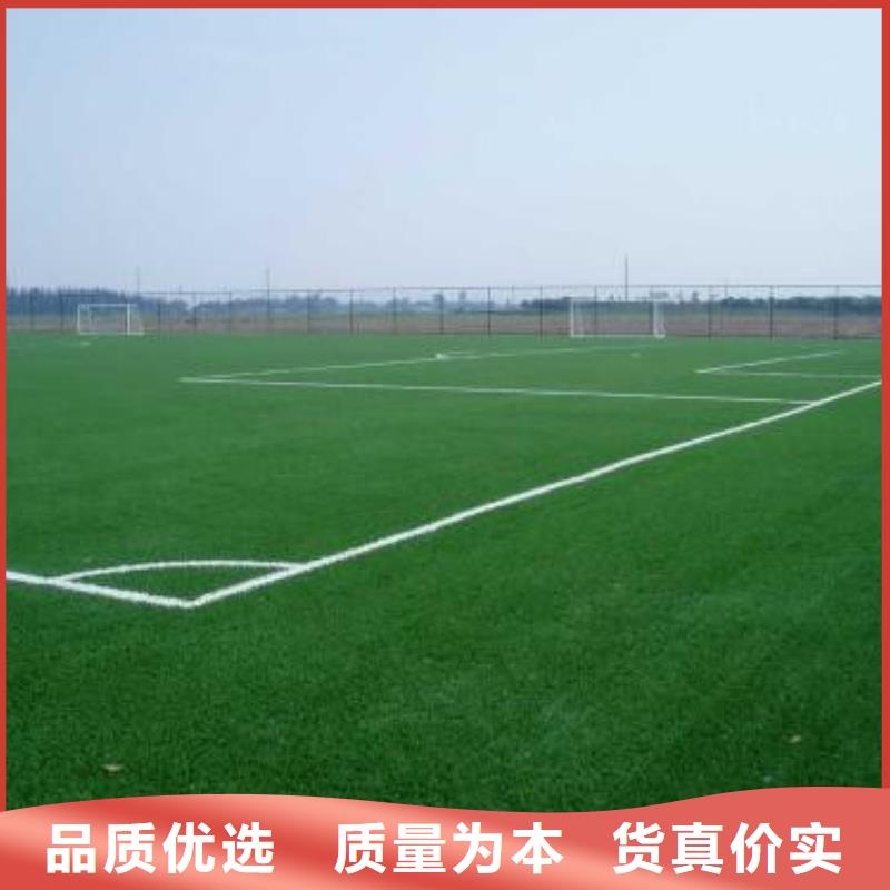 人造草坪現貨齊全廠家案例