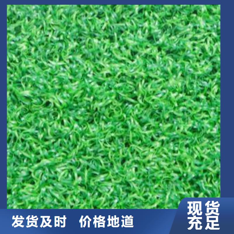 人造草坪一手貨源好貨直供