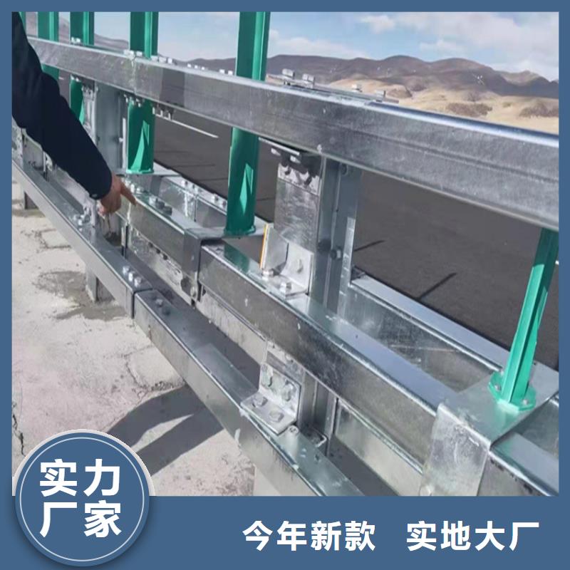 橋梁護欄-回購率高好貨有保障