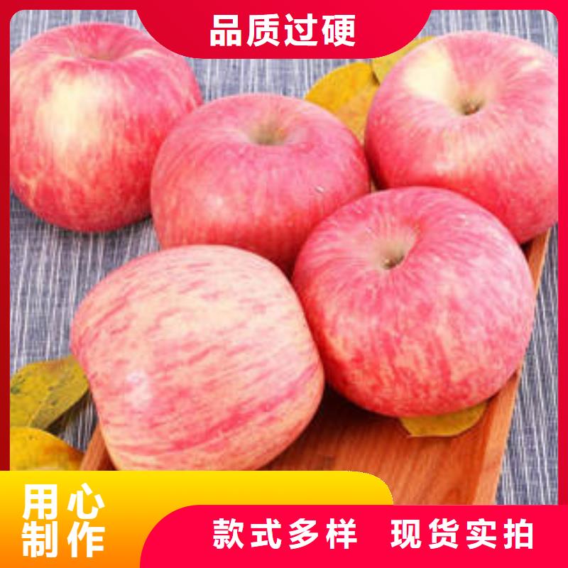 红富士苹果红富士苹果产地真材实料