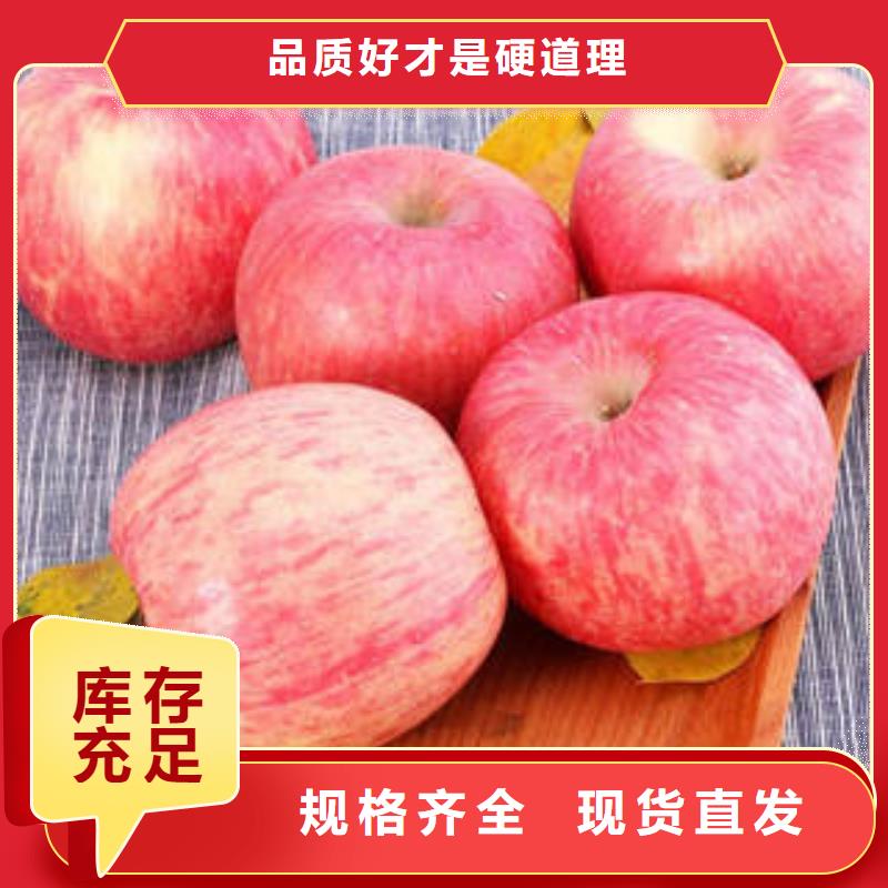 厂家直销货源充足(景才)红富士苹果 苹果种植基地今年新款