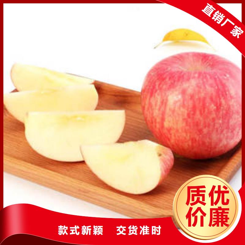 【红富士苹果】嘎啦苹果专业生产N年