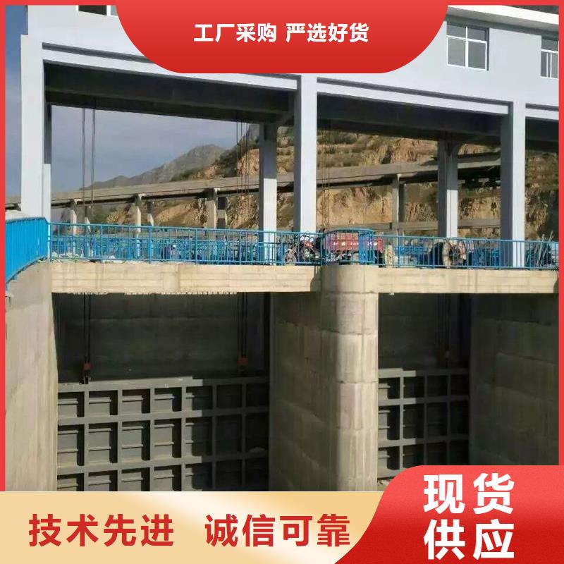 新野县平面钢制闸门18年水利机械生产经验