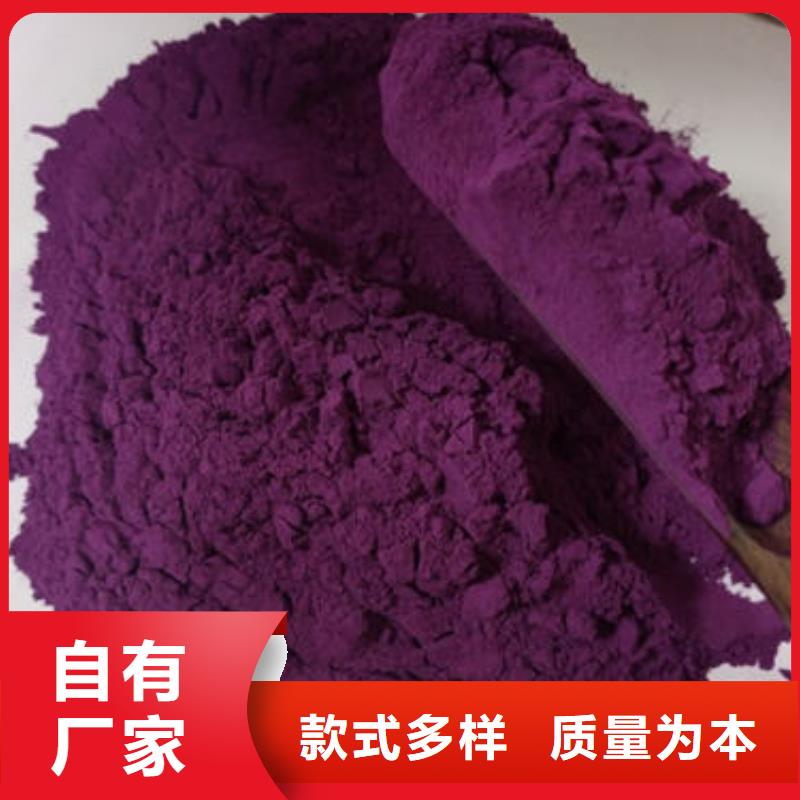紫薯苗（济黑2号）厂家价格