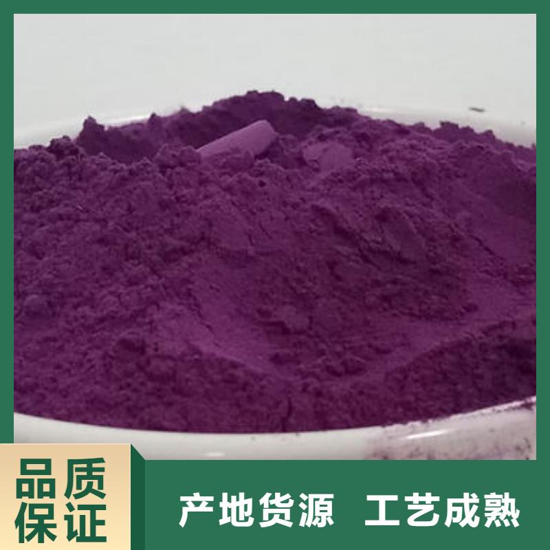 脱毒紫薯苗（绫紫品种）选山东乐农紫老大