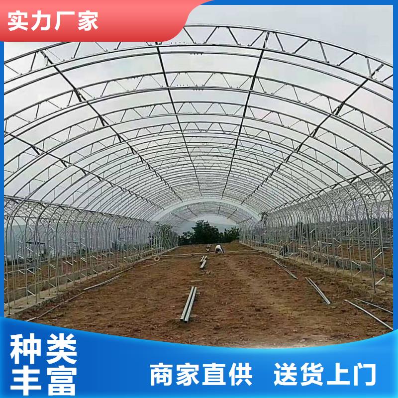 山东省菏泽订购牡丹蔬菜骨架钢管制造厂家2023