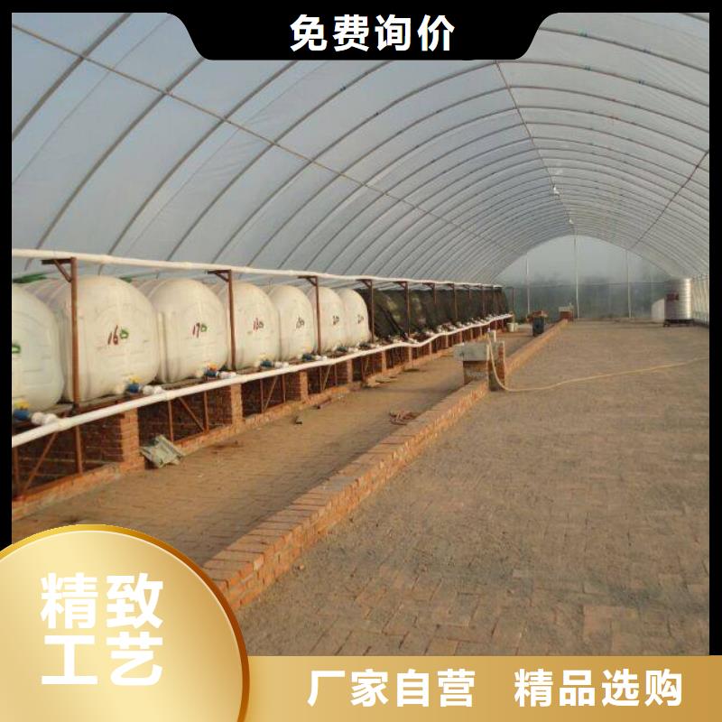 (泽沃)河南省渑池县厂家专业生产智能温室大棚|口碑推荐