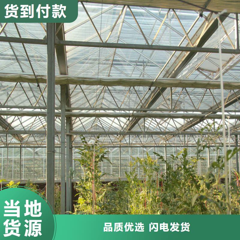 山东省滨州品质沾化种植单体大棚欢迎订购