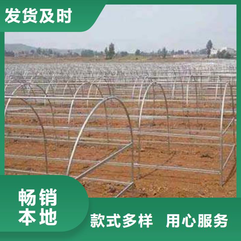 [泽沃]山东省鄄城县养鸡国标大棚管生产厂家