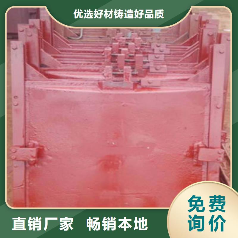 铸铁闸门液压升降坝专业生产设备