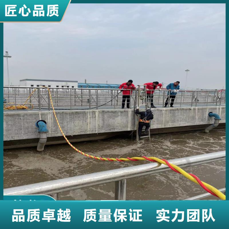 正规团队[金龙]桥桩桥墩水下检测录像公司(本地施工队)