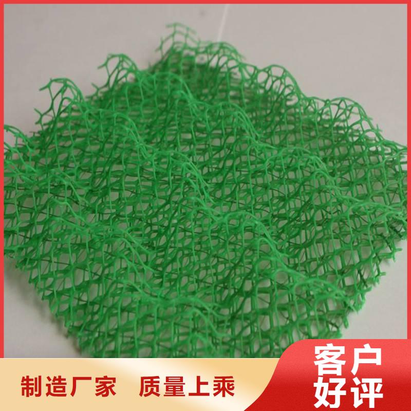 三维植被网长丝土工布大量现货供应