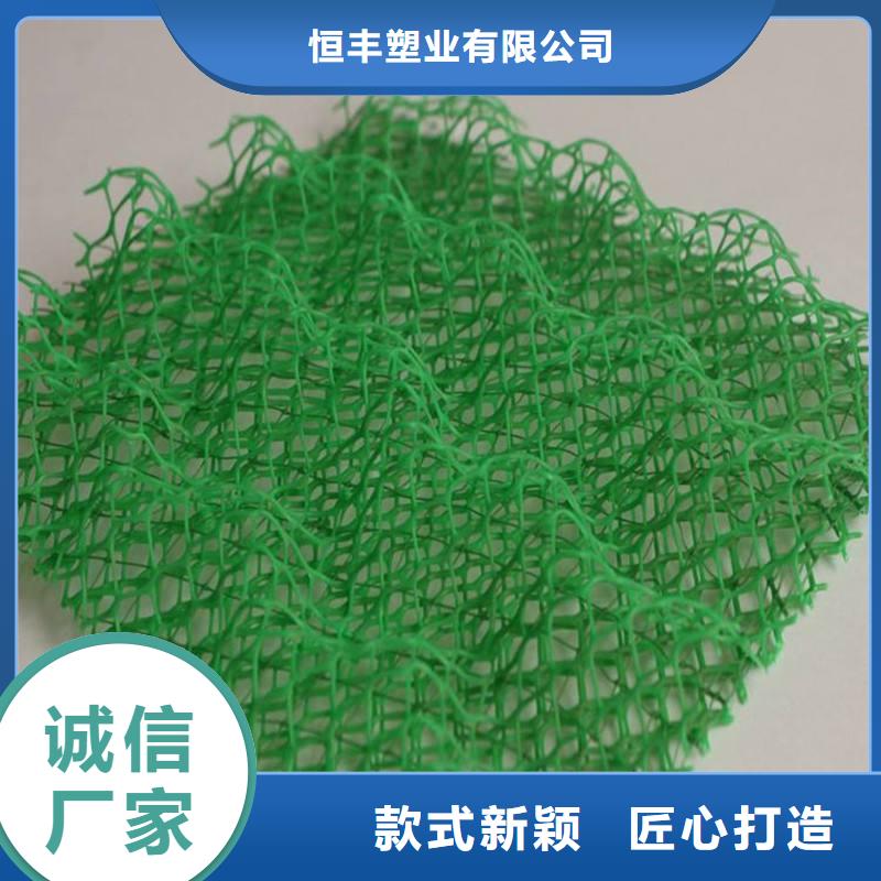 本土《恒丰》三维植被网-长丝土工布每一处都是匠心制作