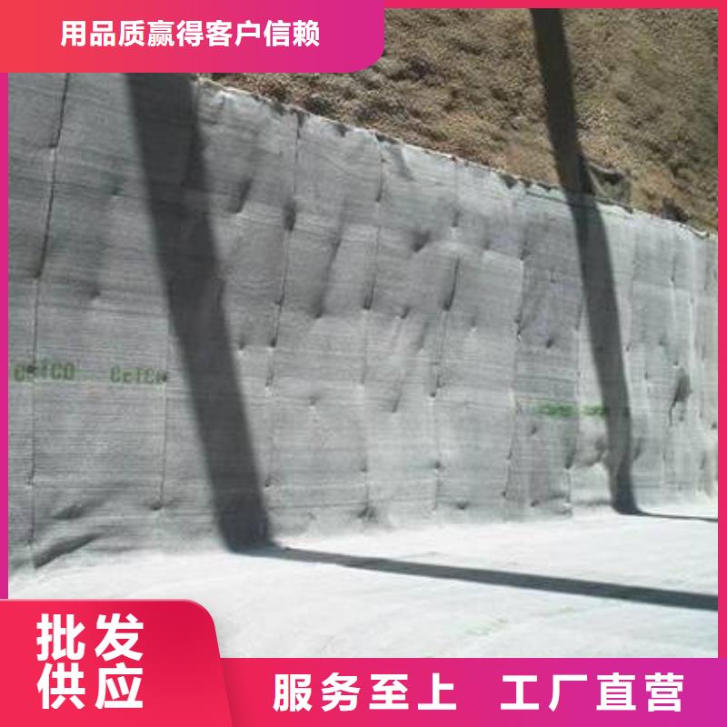 膨润土防水毯(2)-防水毯系列-土工材料生产厂家