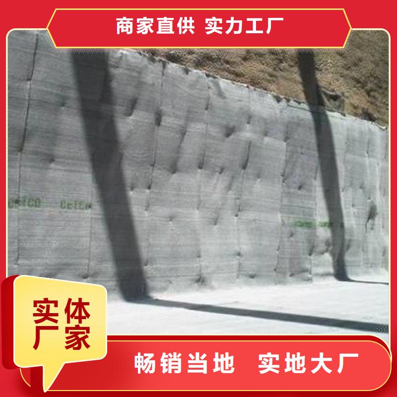 保亭县膨润土防水毯(2)-防水毯系列-土工材料生产厂家