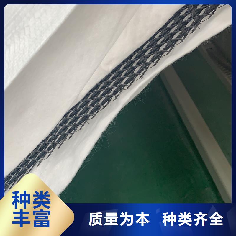 琼中县排水网-长丝复合排水网