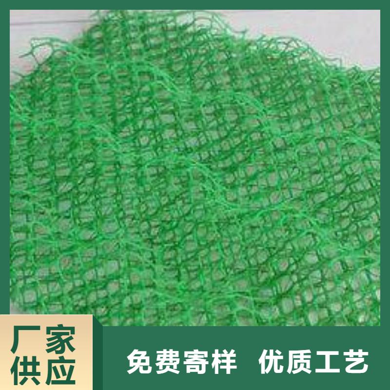 EM3三维植被网塑料植被网生产厂家-质优价廉