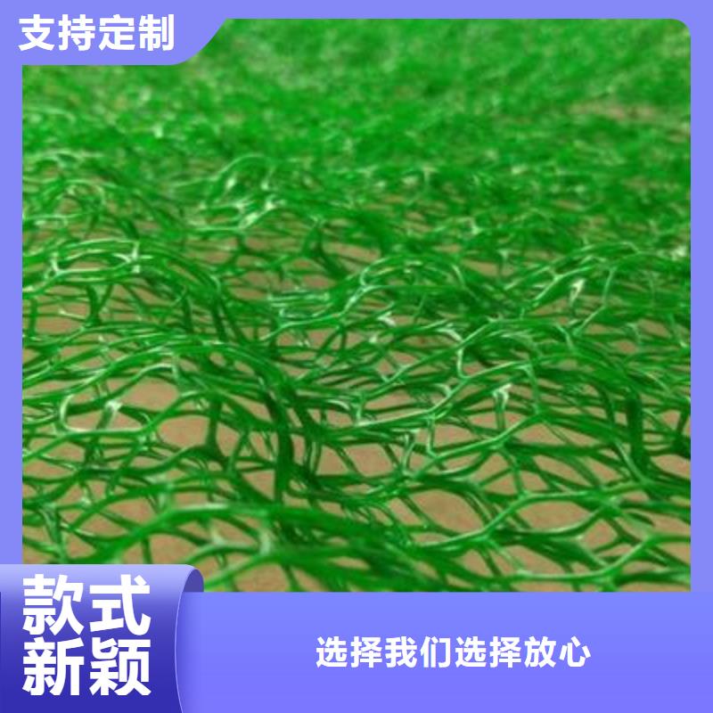 附近《中齐》三维植被网短丝土工布使用方法