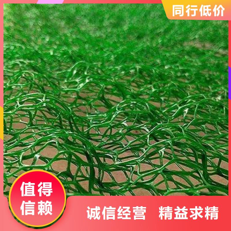琼中县EM3EM4EM5三维植被网边坡防护三维植被网价格