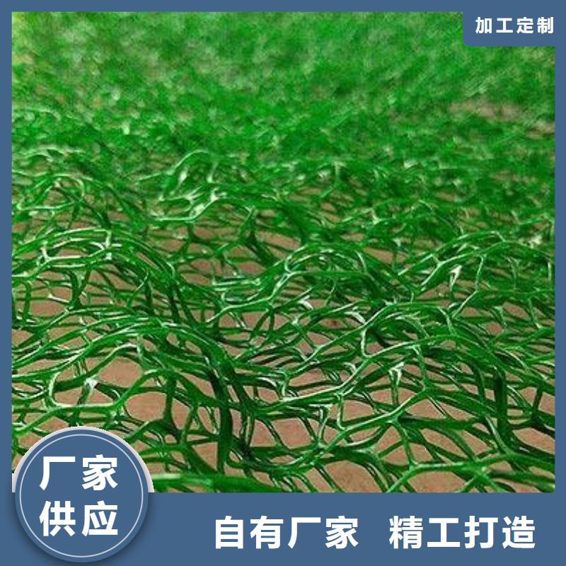(鼎诺)文昌市三维植被网厂家供应供应三维网