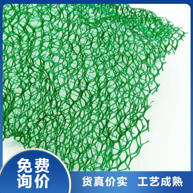 三维土工网垫生产|2024三维植被网