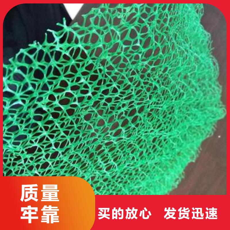 三维土工网垫生产|2024三维植被网