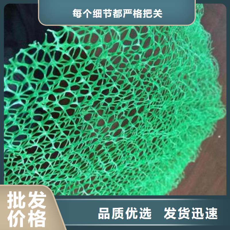采购<鼎诺>三维植被网玻纤格栅实力派厂家